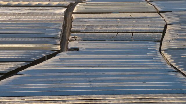 Aerial view of Greenhouses in sunset (Sea of Plastic) in Almeria / El Ejido (Spain)