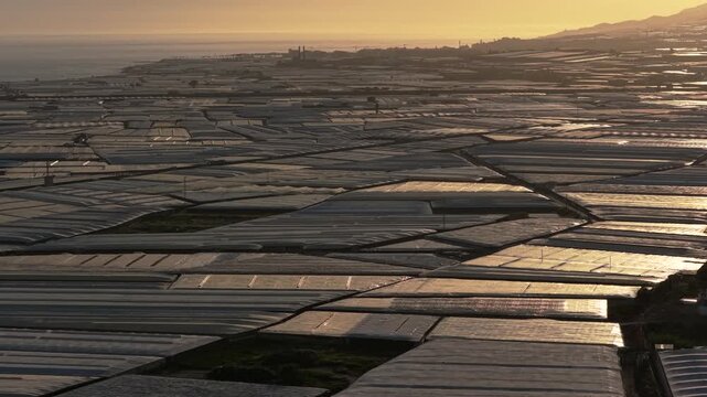 Greenhouses in sunset (Sea of Plastic) Almeria / El Ejido (Spain). Aerial view of agriculture under plastic