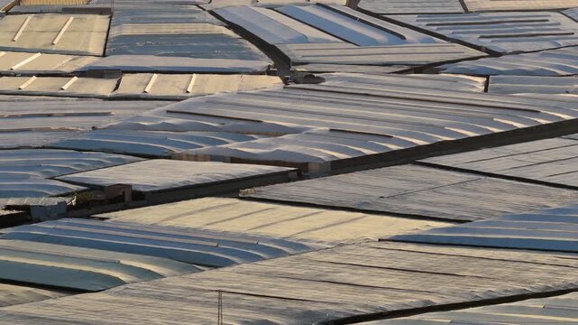 Aerial of Greenhouses in sunset (Sea of Plastic) in Almeria / El Ejido (Spain). Aerial view of agriculture under plastic
