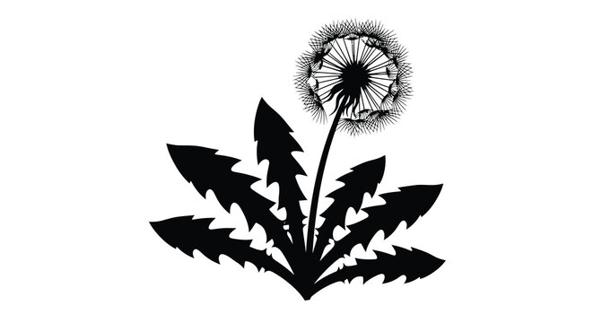 A stylized black and white illustration of a dandelion with seed dispersal
