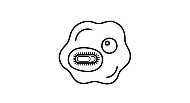 Microscopic Amoeba Engulfing Bacteria Cell - Outline Icon