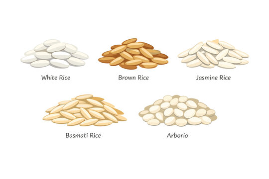 Various types of rice grains set including white, brown, jasmine, basmati, and arborio rice. Colorful flat vector icons for food, cooking, culinary ingredients, and healthy nutrition design.