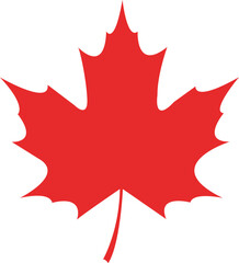 Fototapeta premium Vibrant red maple leaf isolated on transparent background a symbol of canada's natural beauty and autumnal splendor