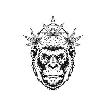 Black and white illustration of a gorilla head with cannabis leaves.