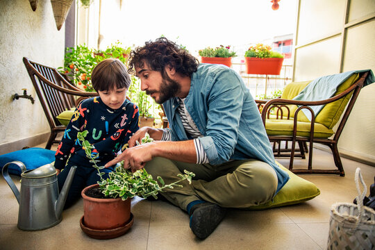 Parent and child gardening on sunny balcony at home