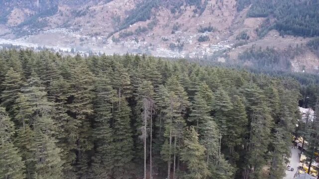 Bird's-Eye View of Himalayan Woodland and Beas River Valley, Drone Capture of Lush Deodar Forest and River Landscape in Manali, India