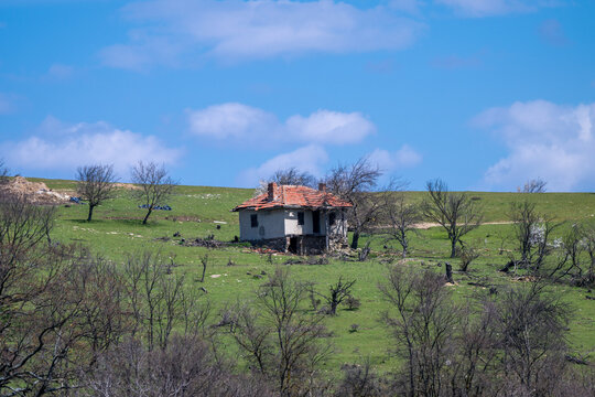 an abandoned, ruined house with a damaged red tile roof sitting on a vibrant green grassy hillside with scattered bare trees under a blue sky with fluffy clouds in bulgaria.