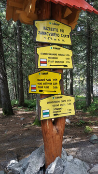 Yellow trail signs at R&aacute;zcestie pri Zamkovsk&eacute;ho chate in the Slovak High Tatras indicate directions to Teryho chata and Skalnat&eacute; pleso, surrounded by a peaceful evergreen forest.