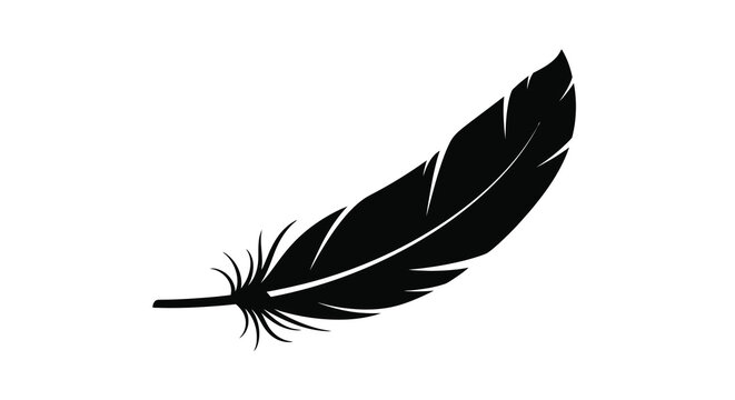 A single black feather floats diagonally across a white background