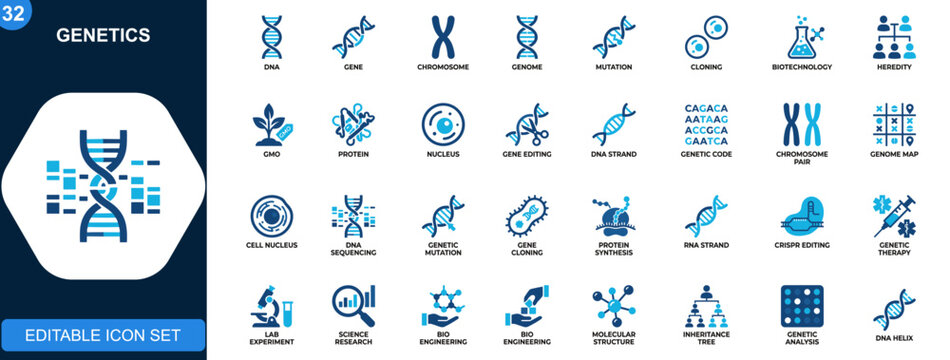 Genetics icons set, DNA gene chromosome genome mutation cloning biotechnology research, heredity and genetic engineering. Solid icons collection. Vector.