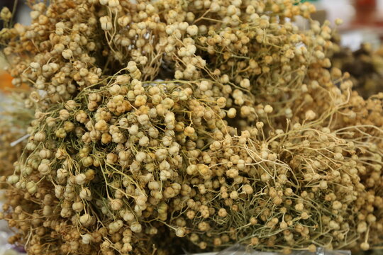 Dried Peganum Harmala Harmal seeds and stems bundles on market.