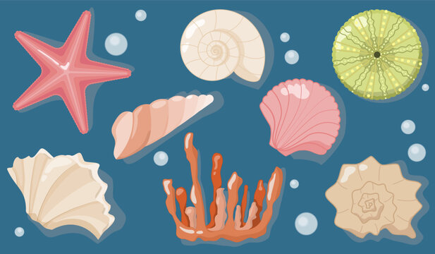 Sea Shells Starfish and Coral Collection Set on Dark Blue Background
