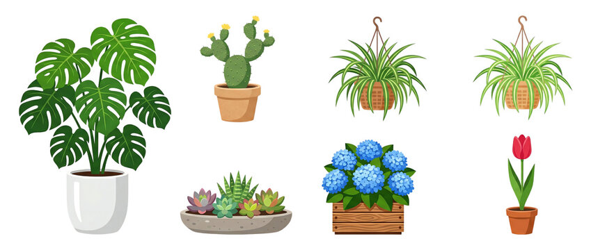 Collection of Potted Houseplants with Transparent Background, Flat Design Indoor Plants Set Including Monstera, Succulent, Cactus, Spider Plant, Tulip and Blue Flowers PNG Isolated for Graphic Use