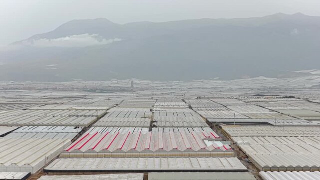 Greenhouses (Sea of Plastic) in Almeria / El Ejido (Spain). Aerial view of agriculture under plastic