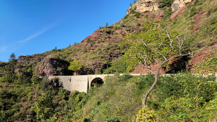 Fototapeta premium Road and bridge in the unique red rock landscape of Gorges de Daluis, Maritime Alps, France, Europe.