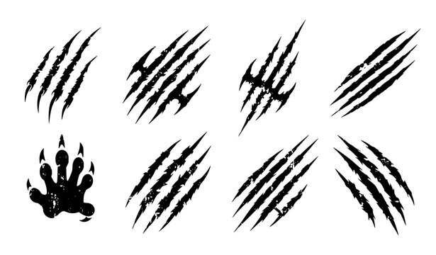 Cat scratches vector set claw marks abstract grunge texture illustration