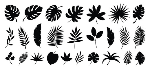Collection of black silhouettes of tropical leaves and exotic foliage isolated on a white background featuring various palm fronds monstera leaves and botanical plant shapes © SHUVO