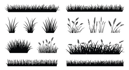 Collection of black silhouettes featuring various grass patches wheat stalks and meadow plants isolated on a white background © SHUVO