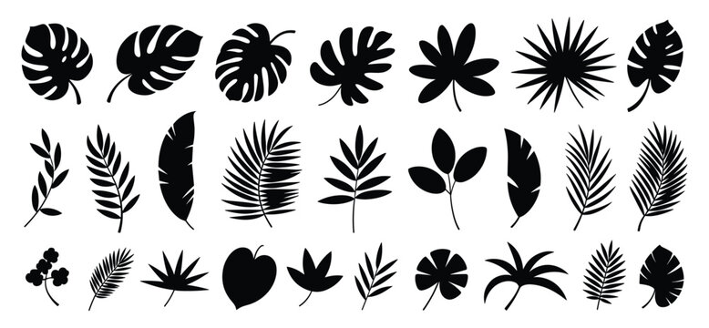 Collection of black silhouettes of tropical leaves and exotic foliage isolated on a white background featuring various palm fronds monstera leaves and botanical plant shapes