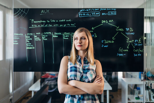Female analyst standing by chalkboard with business plan