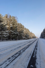 Fototapeta premium a road covered with ice for cars through a winter forest in the snow , a track with snow in the forest in the winter season, different types of trees grow on the side of the road against the blue sky