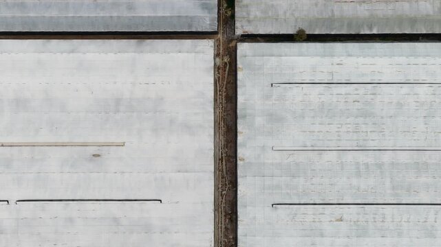 Greenhouses (Aerial top-down) (plastic foil in Almeria / El Ejido, Spain)