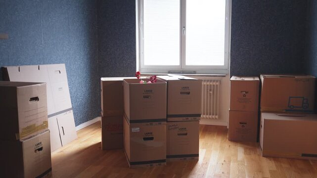 Moving Boxes in Empty Room | Dolly Push-In Shot