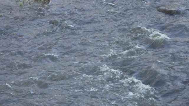 Flowing river water with wavelets and small turbulent breaks around rocks. Shifting light reflects on the moving surface, creating dynamic ripples and white foam across a panoramic view. 