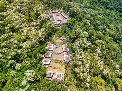 Aerial view of Tololela Traditional Village with its unique thatched-roof houses nestled among lush green forests and white flowering trees in Jerebuu, East Nusa Tenggara, Indonesia.