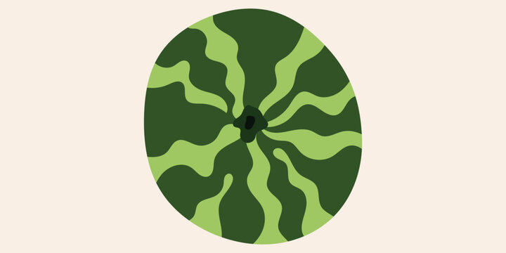 Top view of a whole watermelon with wavy stripes, stylized green fruit vector illustration
