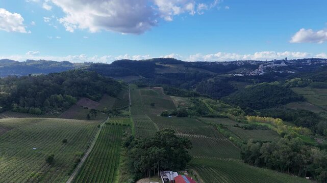 Imagem panor&acirc;mica a&eacute;rea de vin&iacute;cola em Bento Gon&ccedil;alves com extensos vinhedos e relevo montanhoso, representando tradi&ccedil;&atilde;o vitivin&iacute;cola ga&uacute;cha