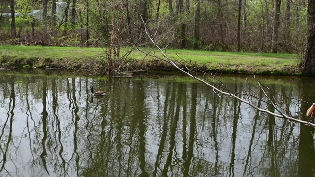 This is a picturesque park of historical and natural significance located in the state of New Jersey.