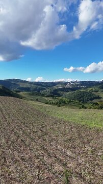 Imagem a&eacute;rea de vinhedos em Bento Gon&ccedil;alves destacando paisagem serrana e produ&ccedil;&atilde;o de vinhos no Rio Grande do Sul