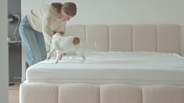Woman spreads sheet on bed while dog runs across mattress in bedroom. Home routine, housekeeping and pet friendly living