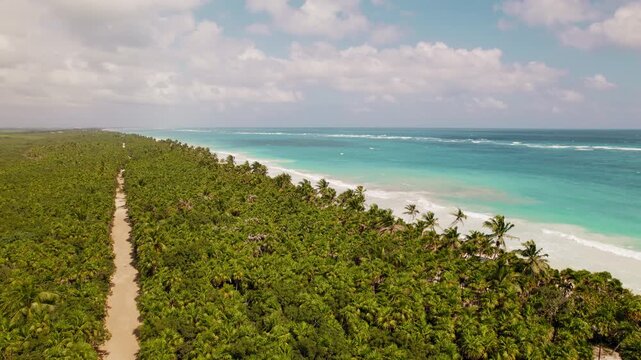 Aerial view of a coastal jungle road along turquoise sea waters in Tulum Mexico