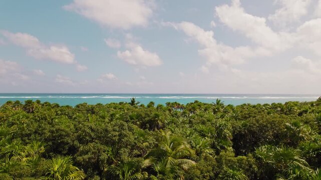 Aerial view of lush jungle canopy near Tulum coastline with clear sea water