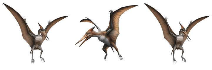 Pteranodon Flying Reptile PNG - Isolated Prehistoric Dinosaur on Transparent Background for Jurassic Science and History Graphics © Ibrar