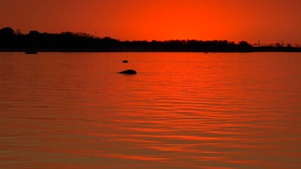 Fototapeta premium Intense red twilight sky over a tranquil sea. Distant dark silhouettes of a forest coast and rocks in the water reflecting the bright evening glow.