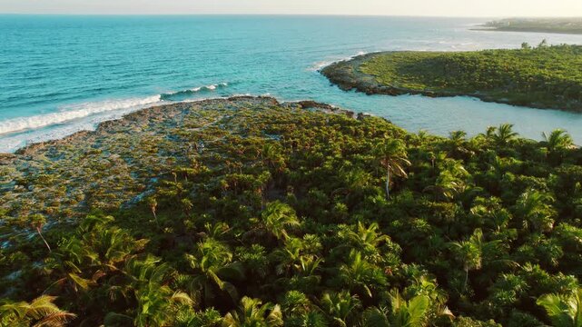Tropical coastline with dense palm forest and small lagoon meeting ocean waves