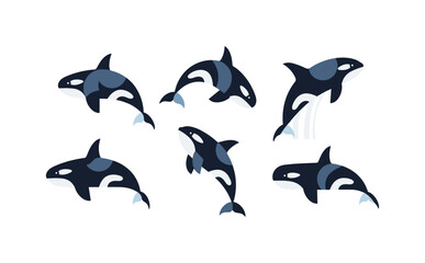 Naklejka premium Playful orcas in dynamic cartoon style on white background