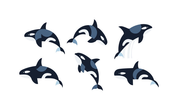 Playful orcas in dynamic cartoon style on white background