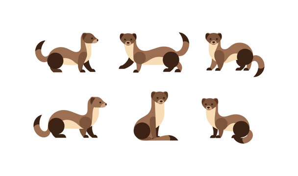 Cute minimalist ferrets collection in flat cartoon style