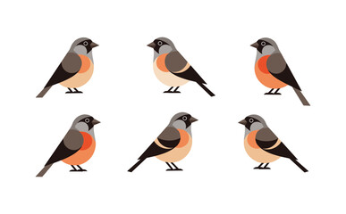 Fototapeta premium Flat style bullfinch bird icons set on white background
