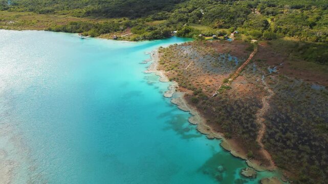 Turquoise blue lagoon by forest and mangrove wetlands in Bacalar Mexico