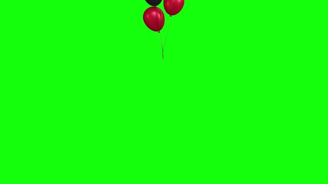 Cluster of red and black helium balloons rising through the air on a green screen chroma key background