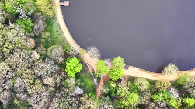 Connaught Water Epping Forest Aerial 4K
