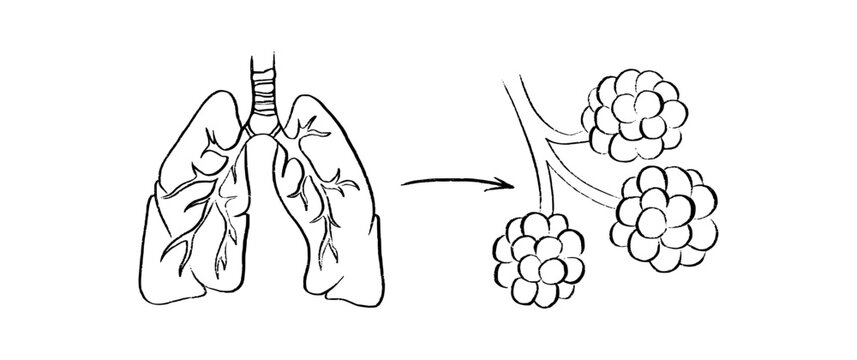 Cells structure sketch