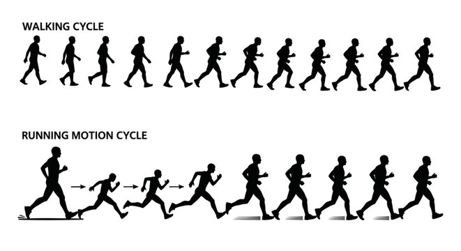 Silhouettes showing the stages of human walking and running motion cycles.