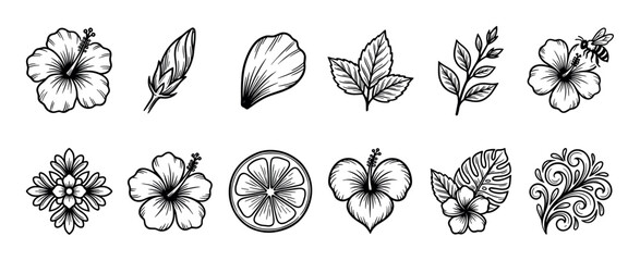 Obraz premium Detailed tropical floral and fruit line art illustrations showcase hibiscus flowers, various leaves, a bee, a citrus slice, and elegant decorative swirls,black and white drawing style