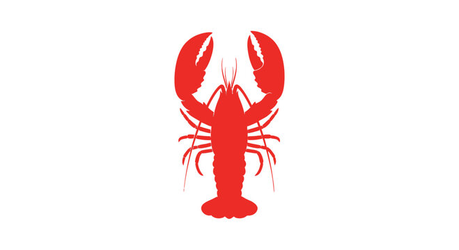 Red Lobster Illustration Front View.